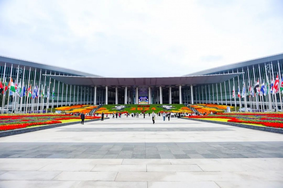 123.jpg